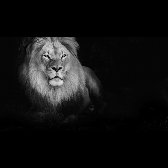 Meet your Posher, Derek - Picture 1 of 1